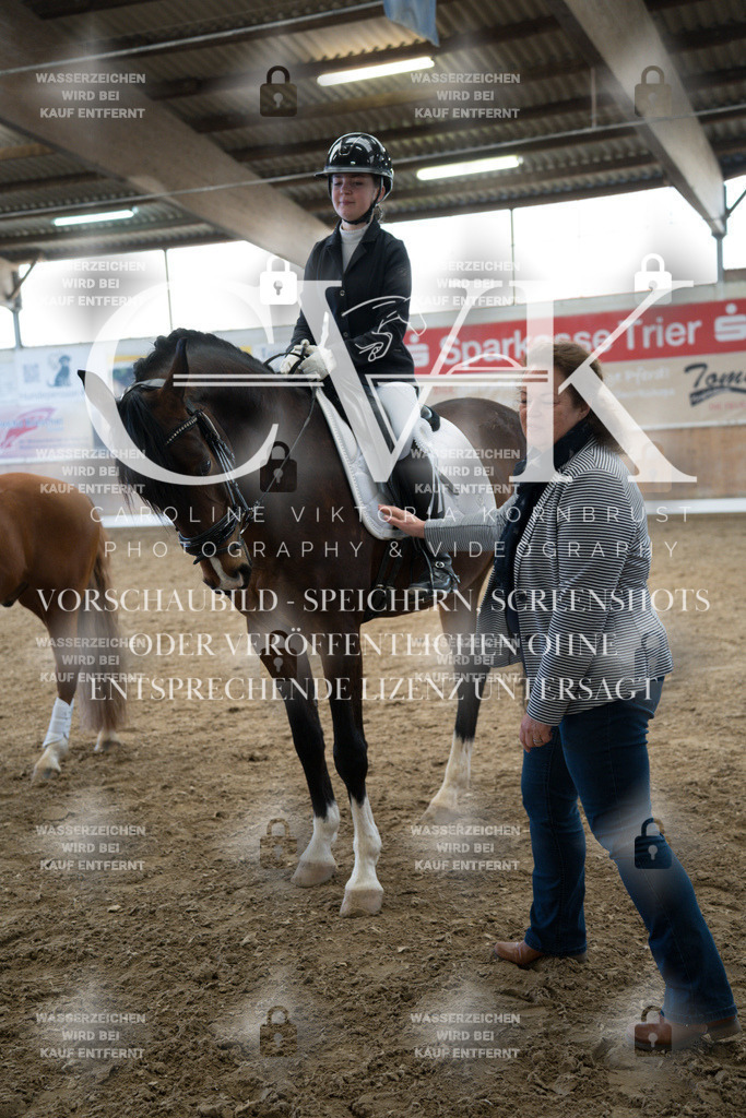 CK703052 | Turnierfotografie Pferdefotografie Trier Rheinland-Pfalz Pferdesport Reitsport Tierfotografie Sportfotografie Pferdevideo Pferdevideografie Equestrianvideography equestrianphotography  - Realized with Pictrs.com