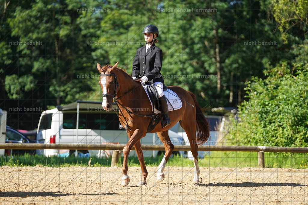 20240706-FAH04562 | Grafing Turnierfotos, Reitverein Ebersberg, Turnierfotografen Bayern, reitsportbilder, Pferdefotograf, reitsportfotograf, Sportbilder, Reitsportfotografie, Fotoagentur Herrmann, Turnierfotograf