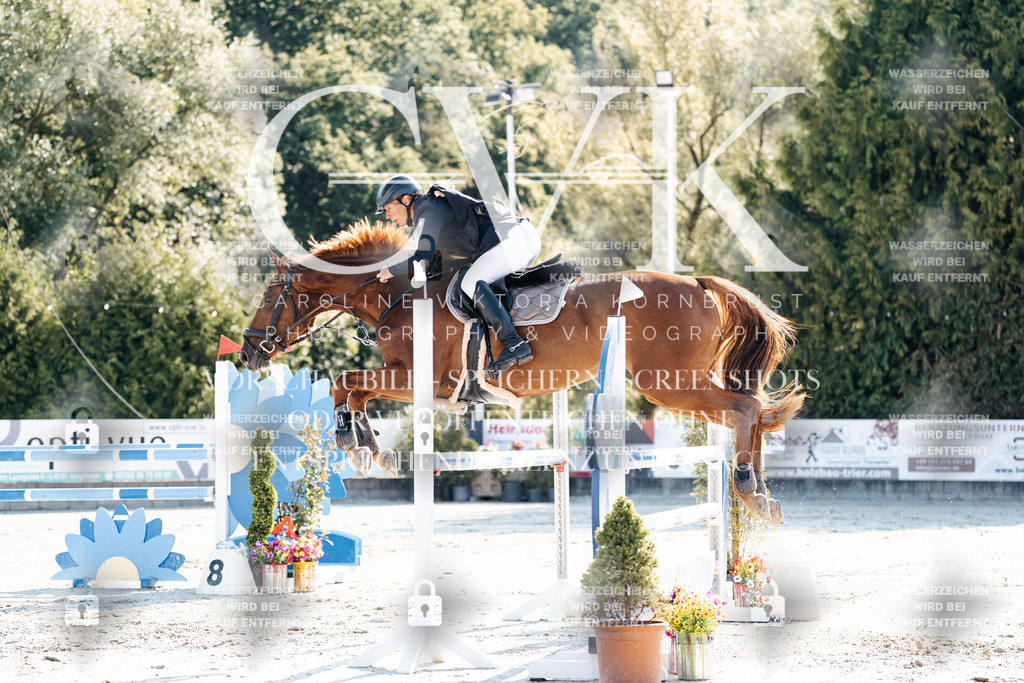 CK901785 | Turnierfotografie Pferdefotografie Trier Rheinland-Pfalz Pferdesport Reitsport Tierfotografie Sportfotografie Pferdevideo Pferdevideografie Equestrianvideography equestrianphotography  - Realisiert mit Pictrs.com