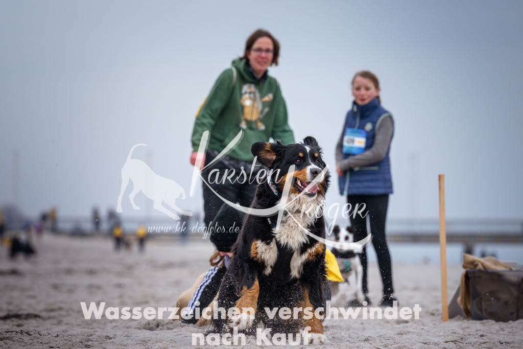 1223_ZZ93903 | kk-dogfotos