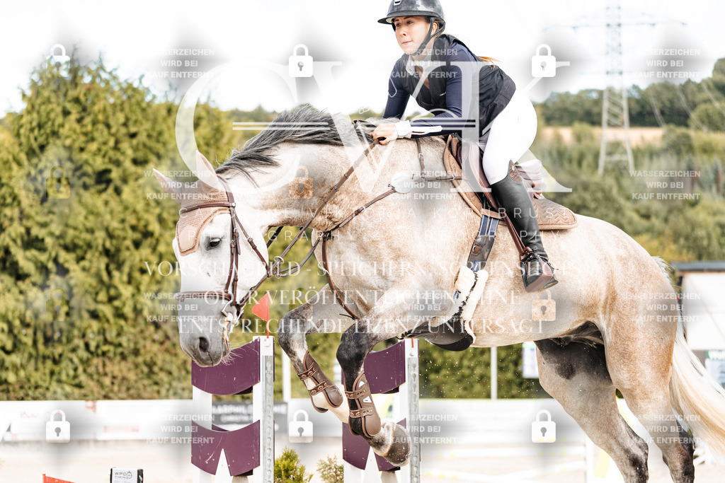 CK902818 | Turnierfotografie Pferdefotografie Trier Rheinland-Pfalz Pferdesport Reitsport Tierfotografie Sportfotografie Pferdevideo Pferdevideografie Equestrianvideography equestrianphotography  - Realisiert mit Pictrs.com