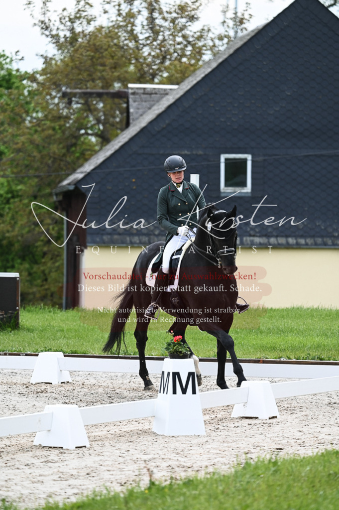 20230513_JK-Röhrsdorf-12-005-2 | Pferde- und Turnierfotografie in Westsachsen. Pferdeportraits, Auftragszeichnungen und intuitive Kunst.