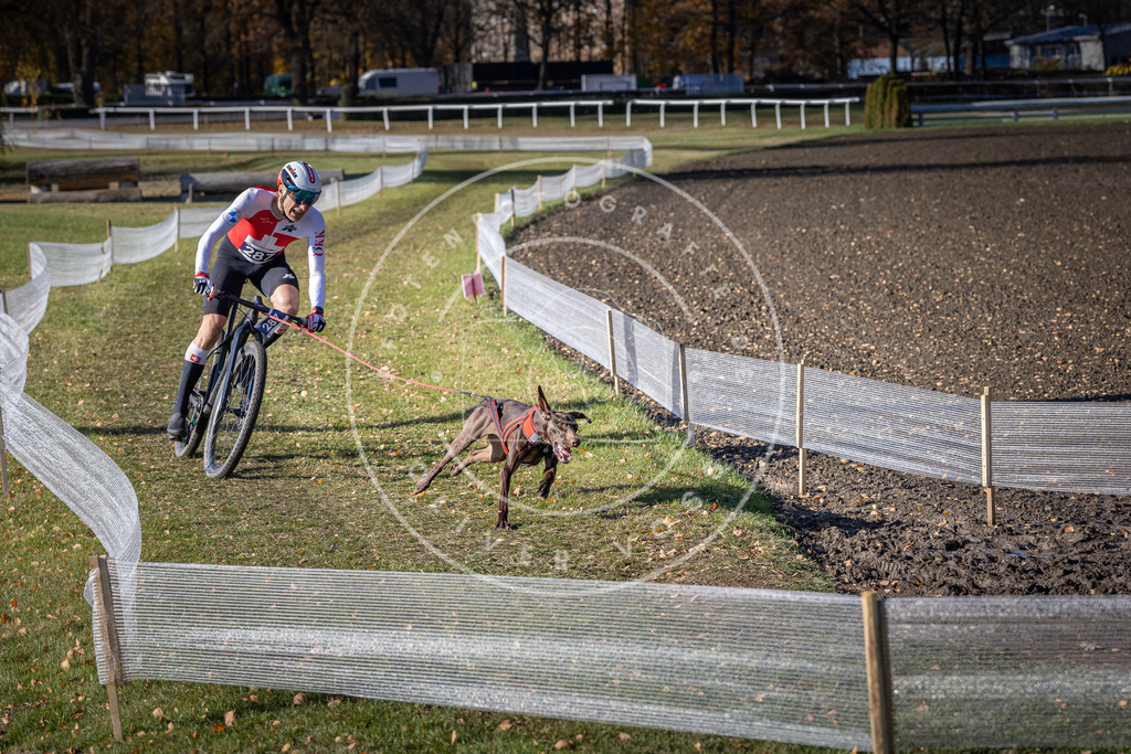 CaniXpix_DV3A5729 | Hundefotografie, Tierfotograf, Pfotenfotografie, Fotoshooting Hund, Hunde Portrait, Hundesport, Hundeportraits, Heideshooting, Hunde, Sportfotograf, Hundefotograf, Turnierhundsport, THS,  - Realisiert mit Pictrs.com