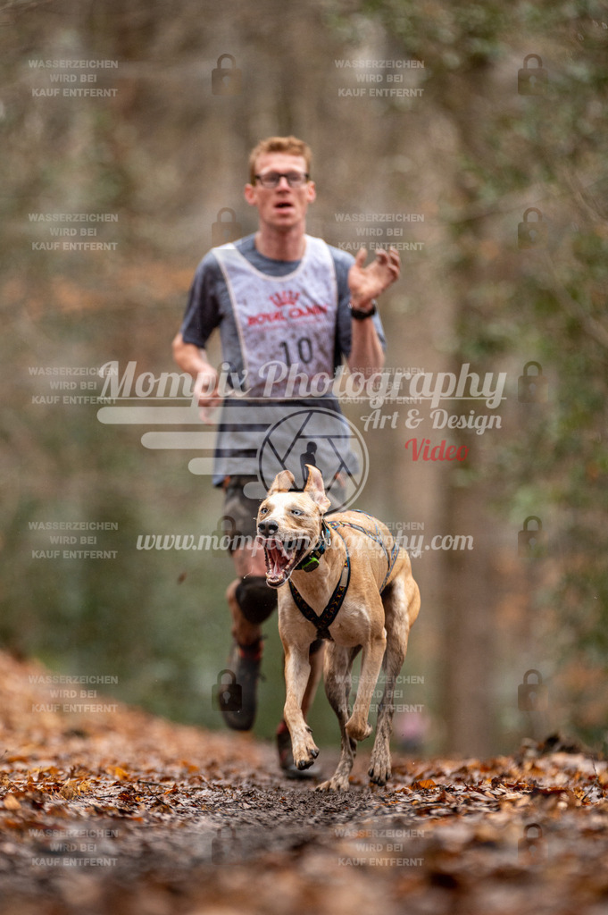 SPA_2023_DIM_CCL-11 | PayLife