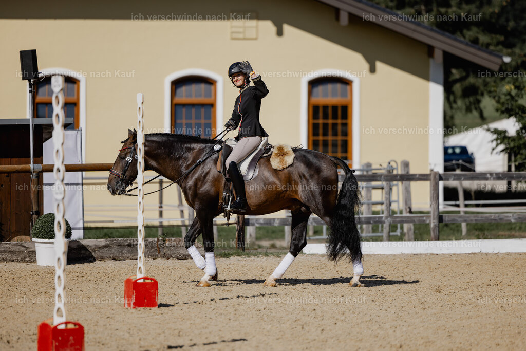 Virginie12FHC2025-27659 | working equitationturnier fotograf videograf stoibphotography marixx film working equitation deutschland reitsport turnierfotografie eventfotografie equestrian events