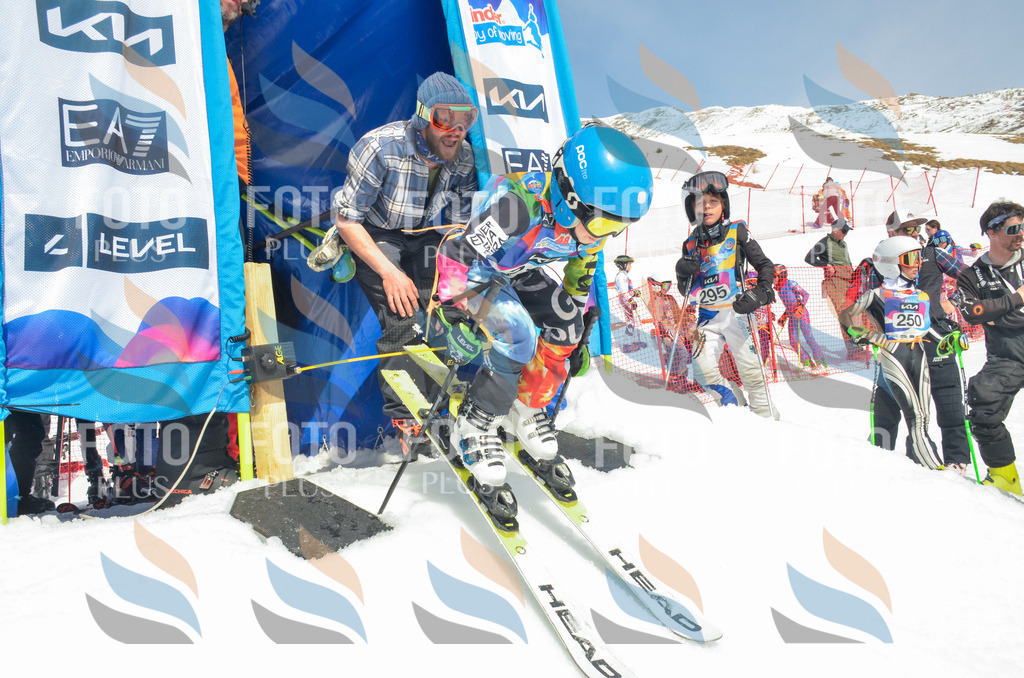 _ELE7117 | holidayphoto