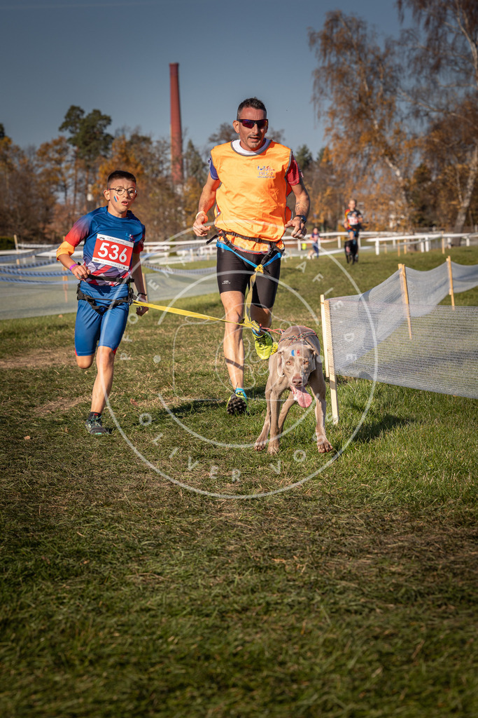 CaniXpix_0L8A7473 | Hundefotografie, Tierfotograf, Pfotenfotografie, Fotoshooting Hund, Hunde Portrait, Hundesport, Hundeportraits, Heideshooting, Hunde, Sportfotograf, Hundefotograf, Turnierhundsport, THS,  - Realisiert mit Pictrs.com