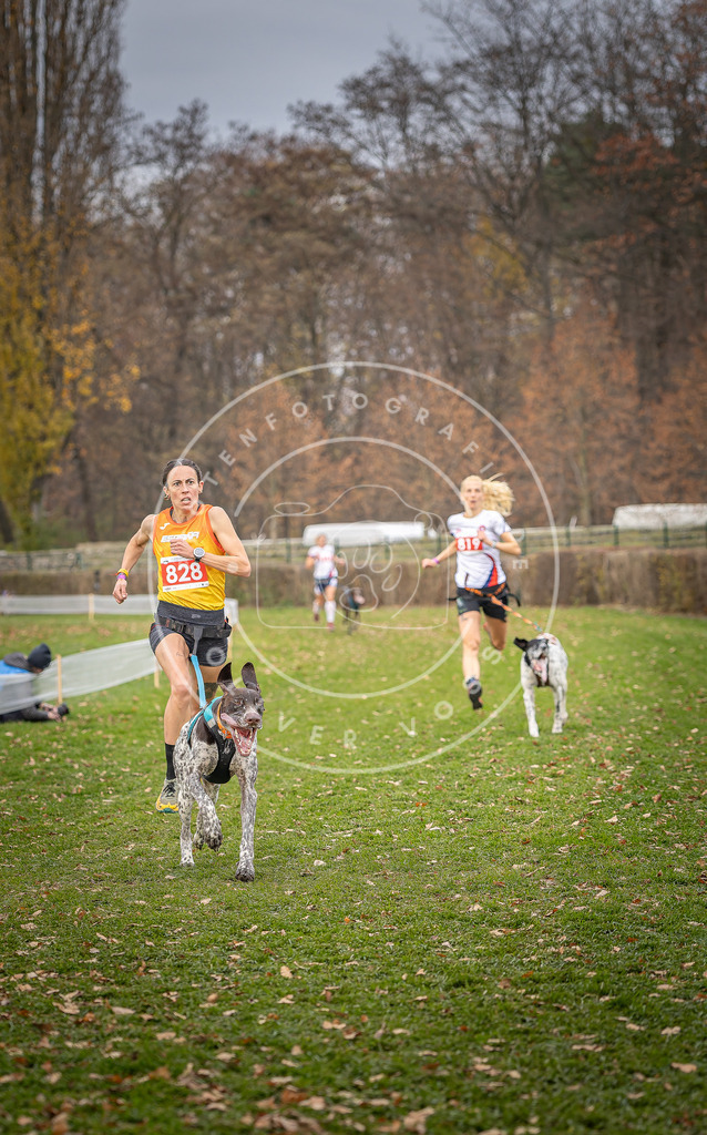 CaniXpix_DV3A6250 | Hundefotografie, Tierfotograf, Pfotenfotografie, Fotoshooting Hund, Hunde Portrait, Hundesport, Hundeportraits, Heideshooting, Hunde, Sportfotograf, Hundefotograf, Turnierhundsport, THS,  - Realisiert mit Pictrs.com