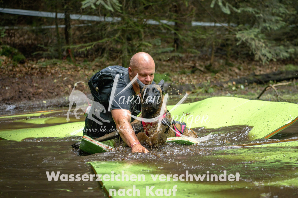 1540_ZZ91833-Bearbeitet | kk-dogfotos