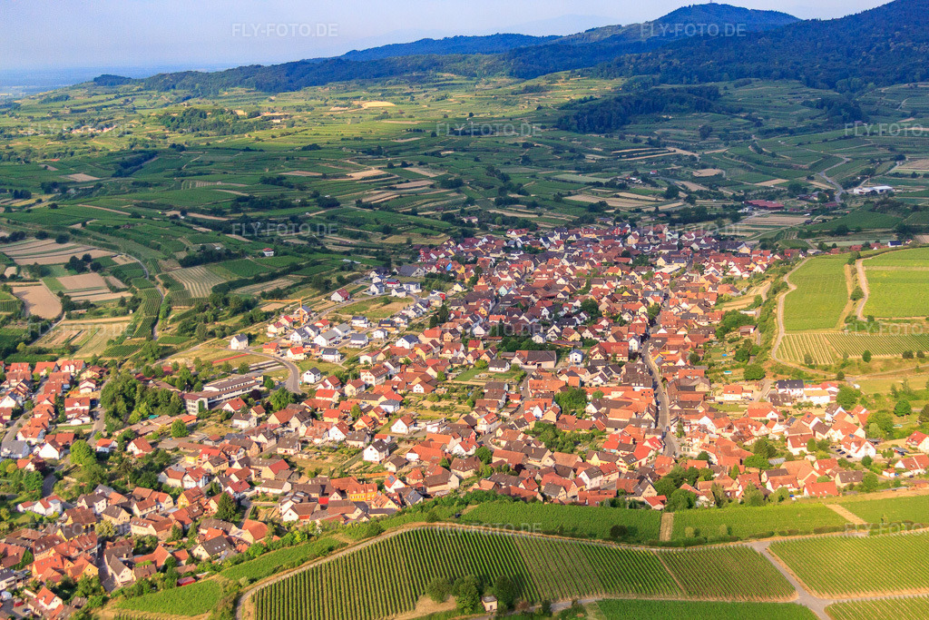 Luftbild: Ortsansicht von Norden in Eichstetten am Kaiserstuhl im Bundesland Baden-Württemberg in Deutschland. Foto: IMG_68182.jpg vom 19.06.2014 durch Werner Riehm/FLY-FOTO.de – Auflösung des Originals: 4752 x 3168 px