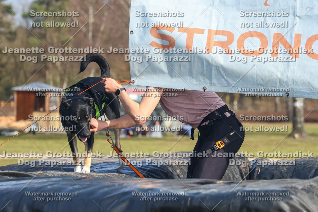 Dog Paparazzi - Strongdog North Mrz26-2965 | Dog Paparazzi Jeanette Grottendiek Fotografie & Videografie - Realisiert mit Pictrs.com