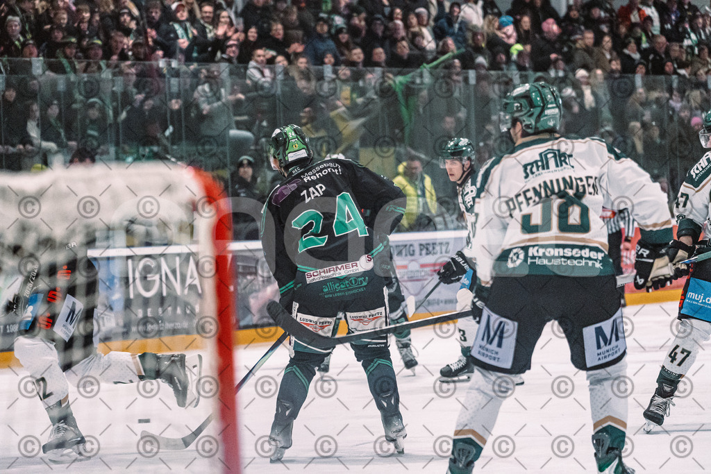 Alligators_vs_Erding_01_02_2026-46 | Höchstadt Alligators Fotogalerie: Eishockey-Action aus Franken. Professionelle Spielfotos, Portraits & Stadionbilder zum Download. Jetzt entdecken! - Realisiert mit Pictrs.com