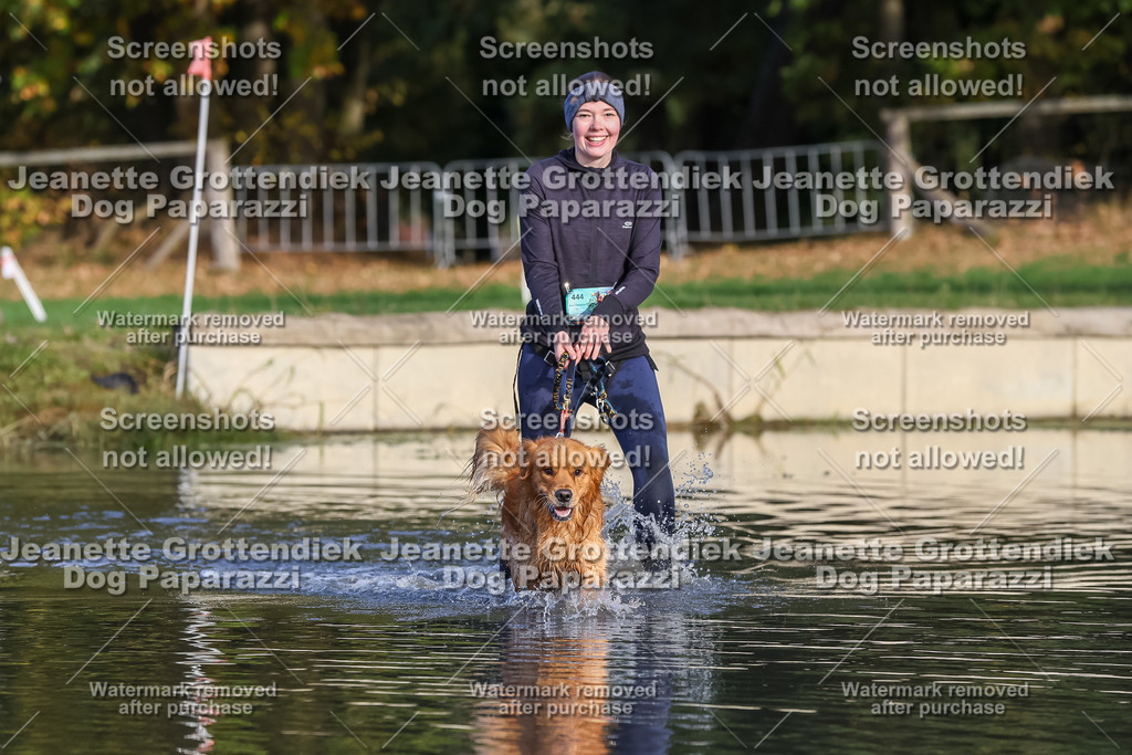 Dog Paparazzi - Strongdog 10-25-8384 | Dog Paparazzi Jeanette Grottendiek Fotografie & Videografie - Realisiert mit Pictrs.com