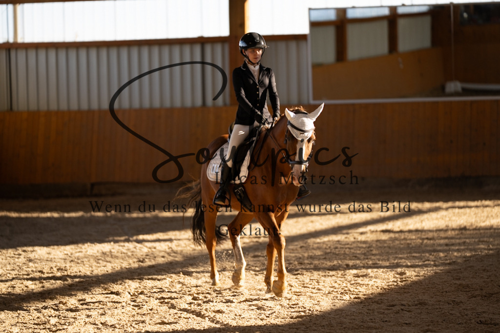 A7V01700 | Turnier/Reitfotograf