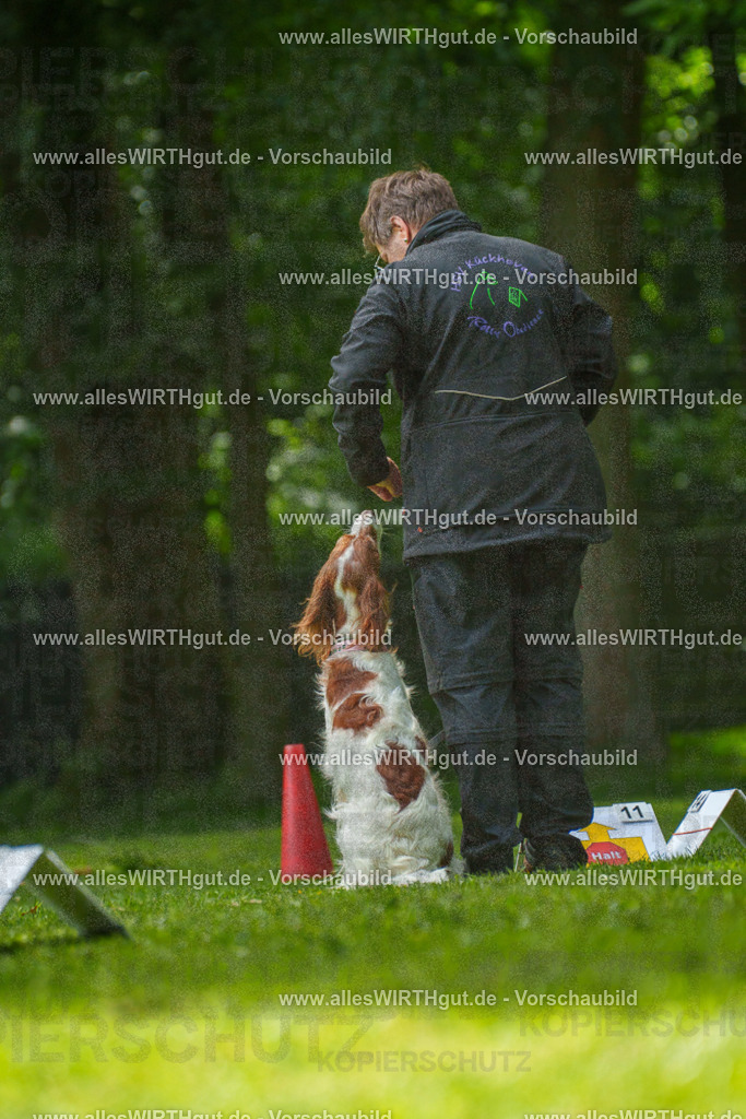 @allesWIRTHgut_Tierfotografie - www.allesWIRTHgut.de - 7R505790 | Professionelle Tierfotografie in Mönchengladbach von Daniel Wirth (allesWIRTHgut). Liebevolle & natürliche Bilder von Hunden & Katzen für unvergessliche Erinnerungen.