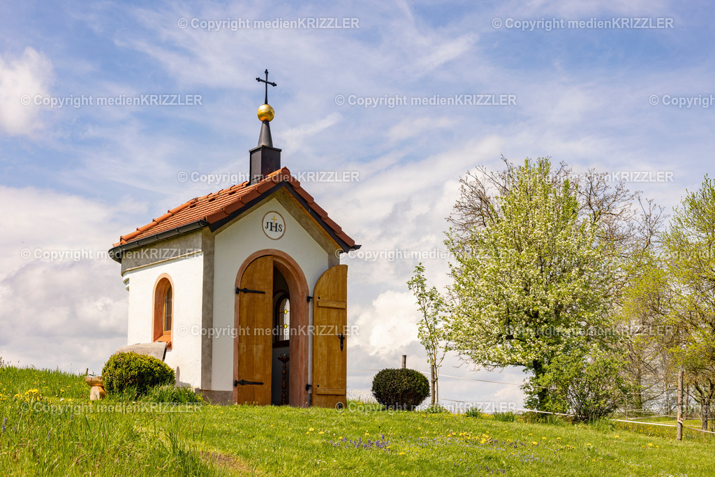 _J3A0586 | medienkrizzler - Realisiert mit Pictrs.com