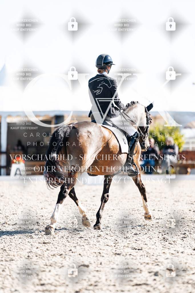 CK908561 | Turnierfotografie Pferdefotografie Trier Rheinland-Pfalz Pferdesport Reitsport Tierfotografie Sportfotografie Pferdevideo Pferdevideografie Equestrianvideography equestrianphotography  - Realisiert mit Pictrs.com