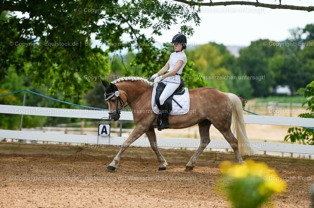 20230715_05_Dressurprüfung Kl.A++_0071 | equistock