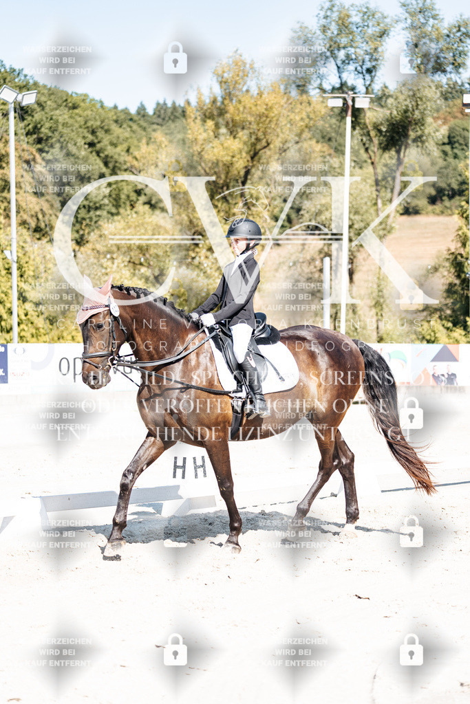 CK902993 | Turnierfotografie Pferdefotografie Trier Rheinland-Pfalz Pferdesport Reitsport Tierfotografie Sportfotografie Pferdevideo Pferdevideografie Equestrianvideography equestrianphotography  - Realisiert mit Pictrs.com