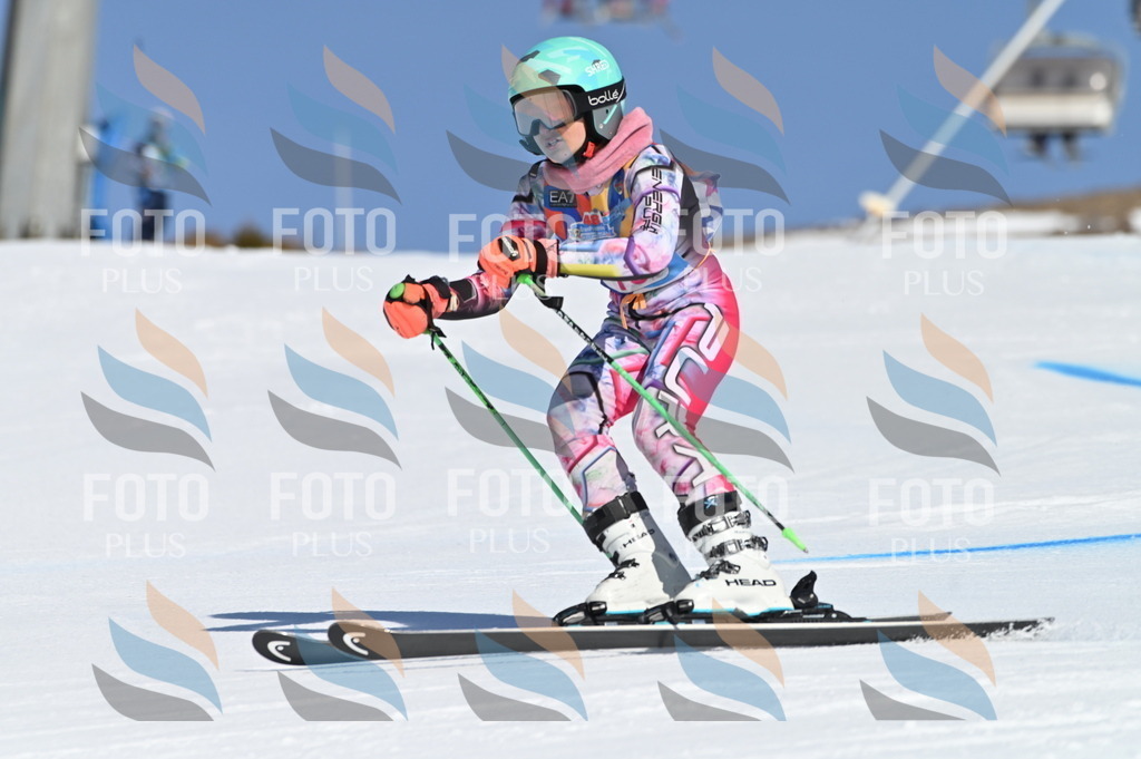 BGV_7942 | holidayphoto