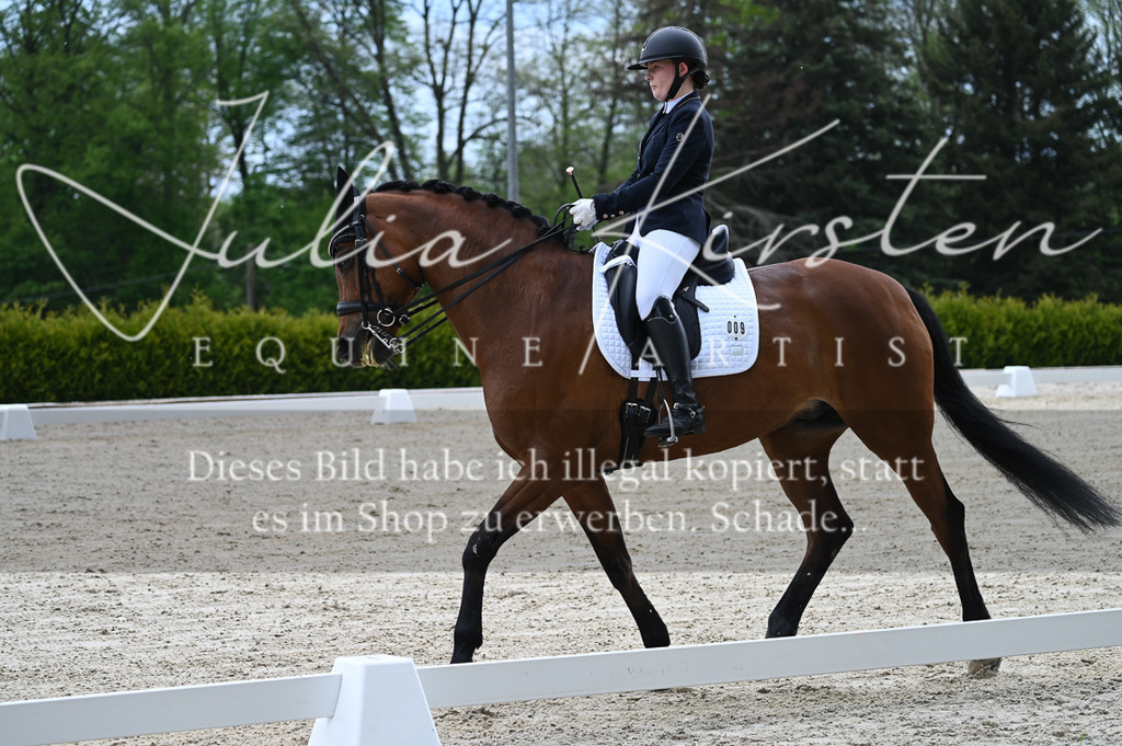 20230512_JK-Röhrsdorf-05-059 | Pferde- und Turnierfotografie in Westsachsen. Pferdeportraits, Auftragszeichnungen und intuitive Kunst.