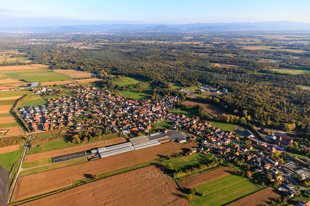 Vue aérienne: Vue de la ville depuis l'ouest à Niederrœdern dans le département Bas Rhin, France. Photo: IMG_150158.jpg prise le 11/10/2025 par Werner Riehm/FLY-FOTO.eu – Résolution de l'original: 6000 x 4000 px
