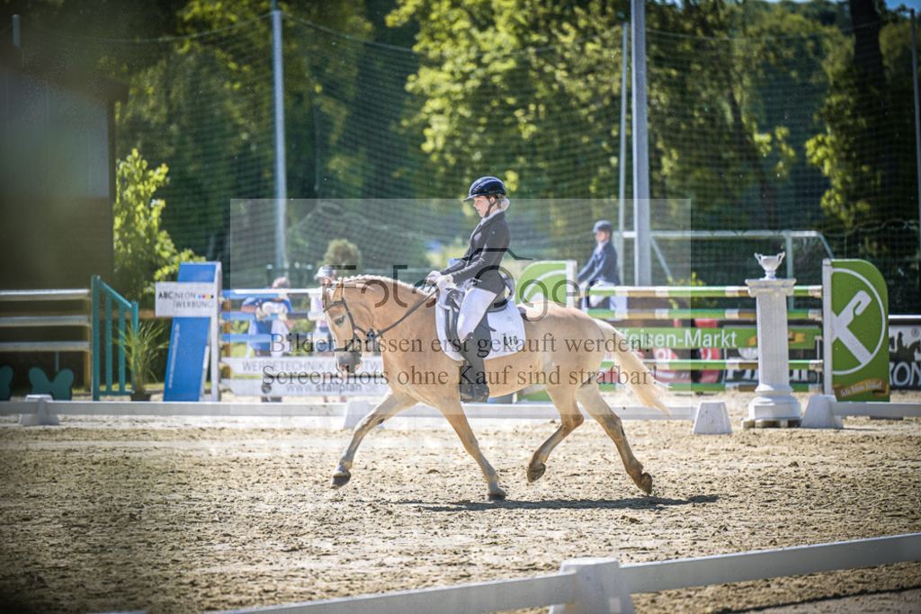 DOS_9751 | Entdecke hochwertige Reitturnierfotos von Foto Oger. Professionell, emotional und authentisch – jetzt Lieblingsmomente im Shop bestellen.Deutschlandweite Turnierfotografie. - Realisiert mit Pictrs.com