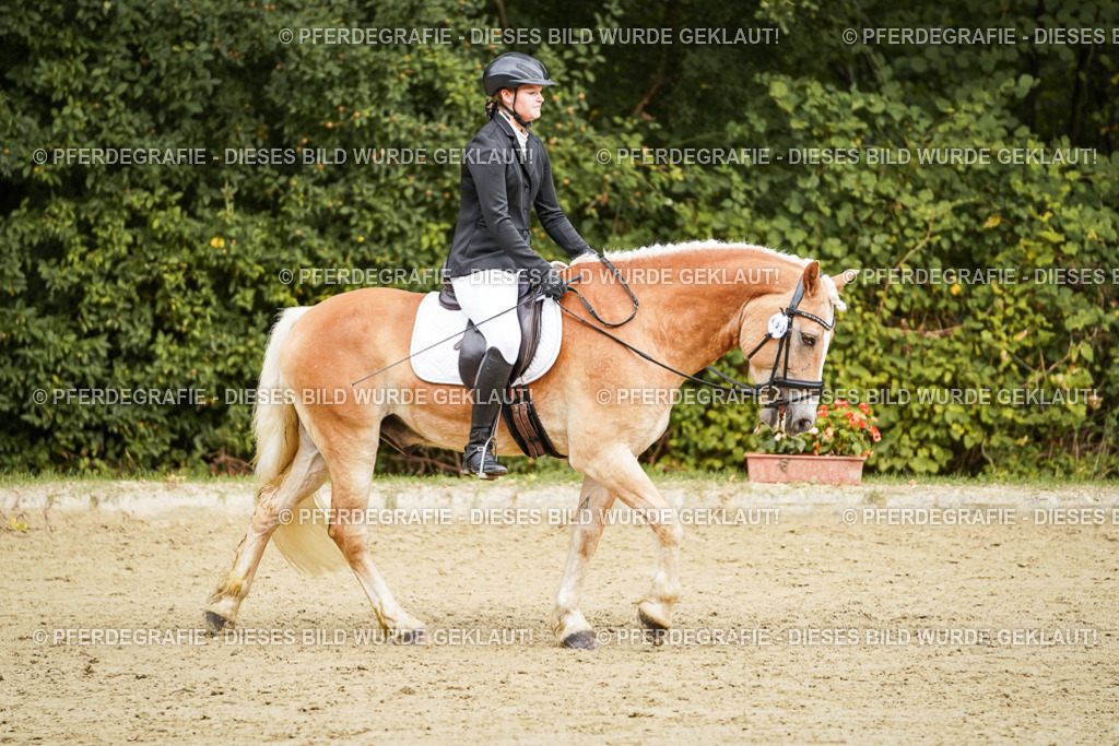 DSC00171 | Pferdegrafie