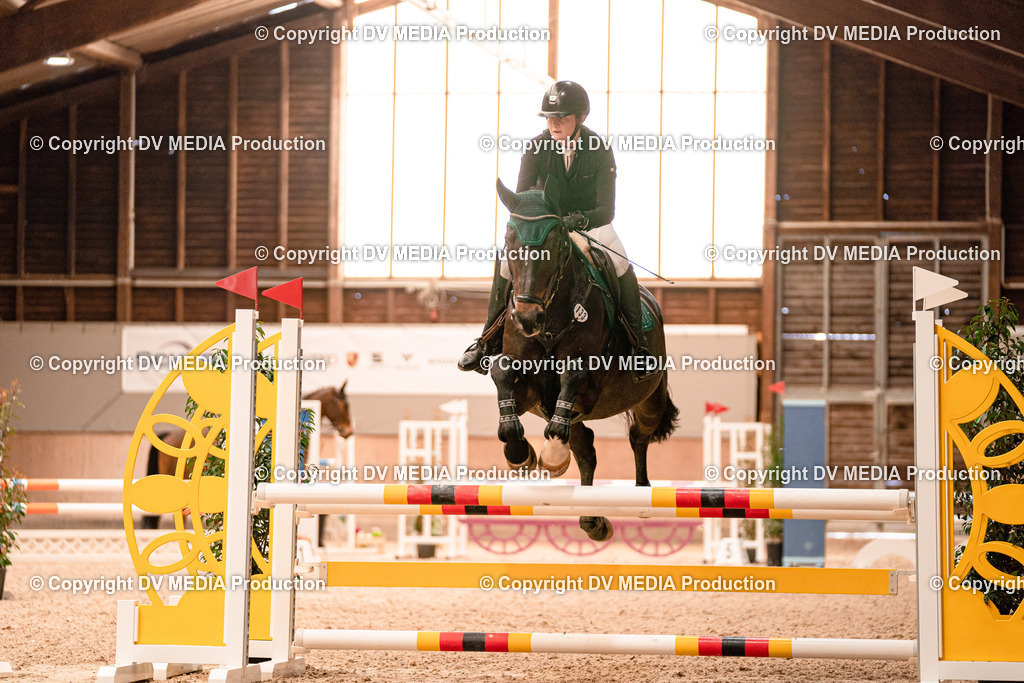 Springen Tag 2-446 | dv-media-shop - Realisiert mit Pictrs.com