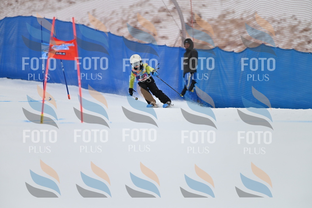 BGV_1782 | holidayphoto