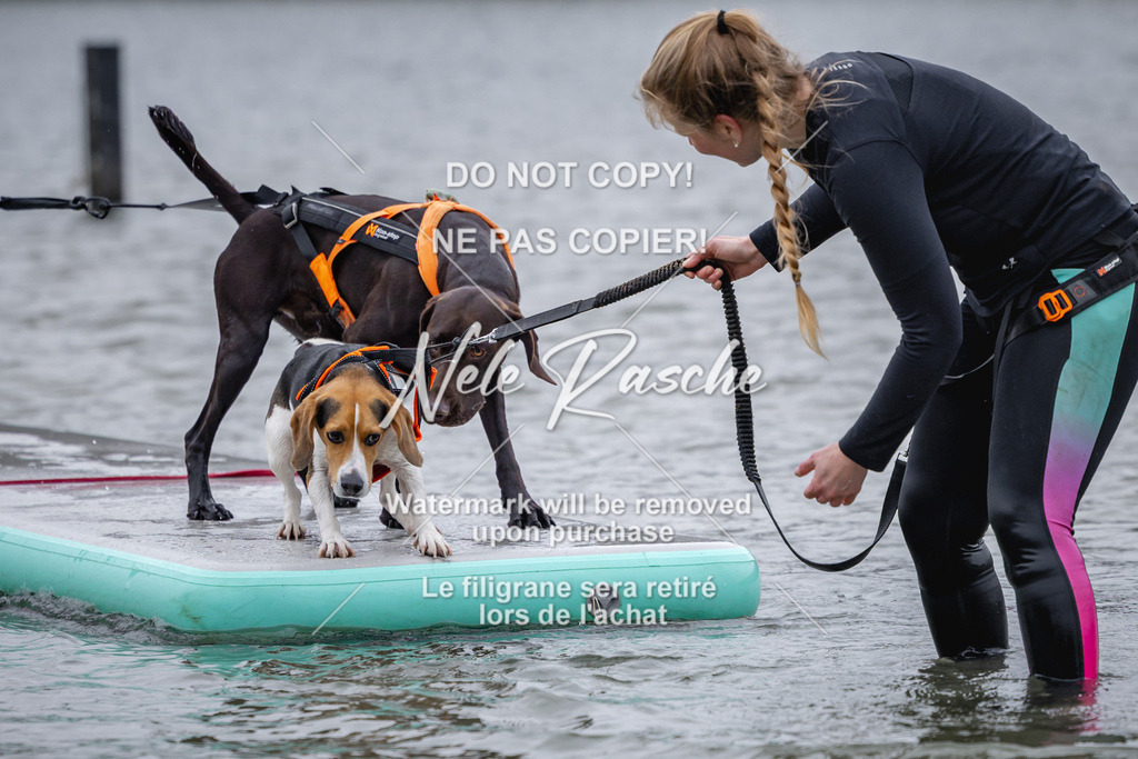 nelerasche_Hulsbeek_Sa1600-1700_120 | nelerasche