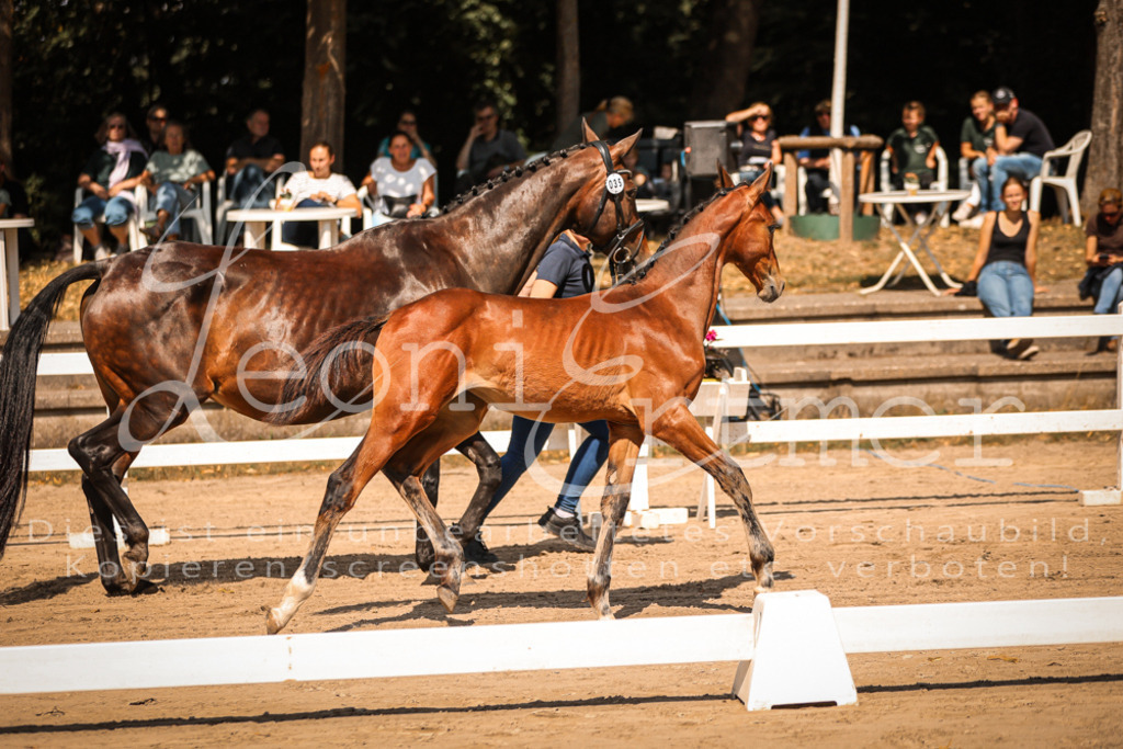 07.DoWBS00069 | Leoni Ertmer Photography - Realisiert mit Pictrs.com