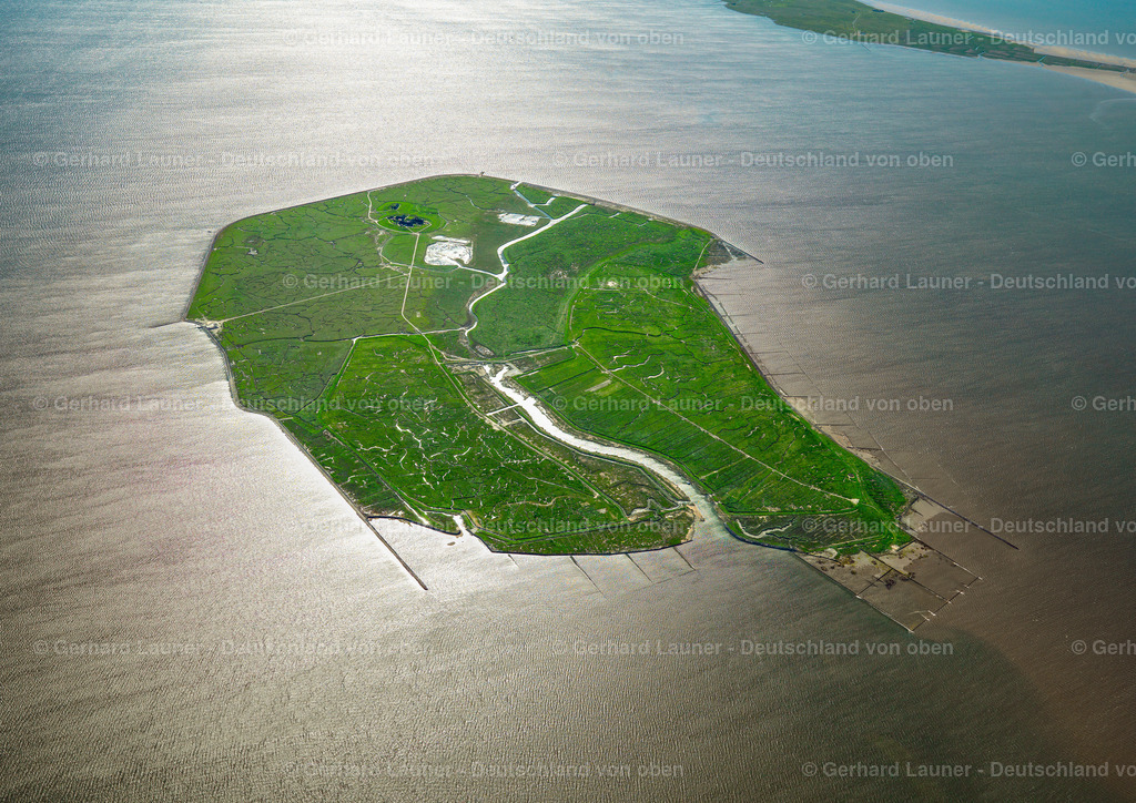 3091360 | Hallig Gröde, Nationalpark Schleswig-Holsteinisches Wattenmeer