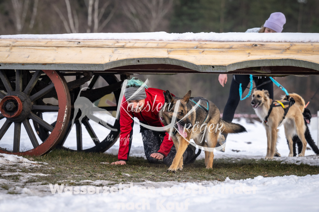 0812_ZZ90902-5 | kk-dogfotos