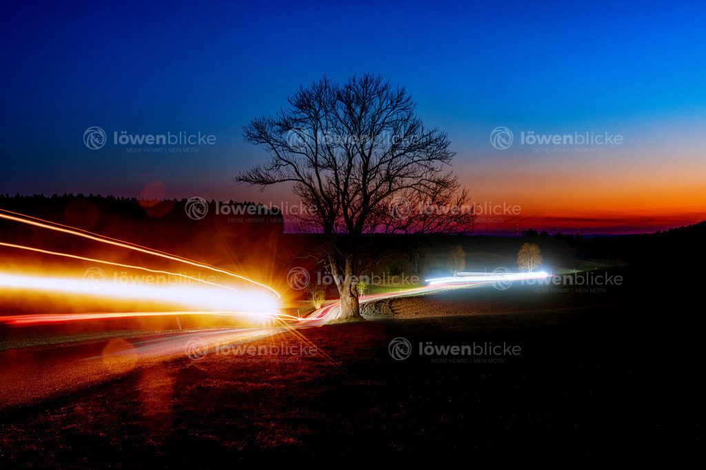 Spuren der Nacht | löwenblicke | shop