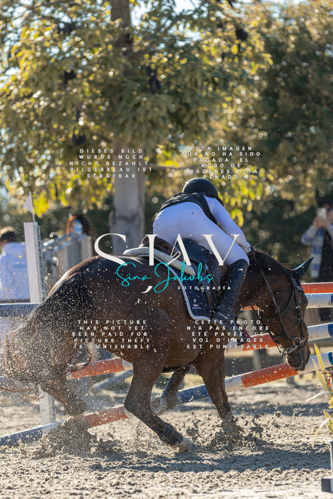 IMG_2119 | s-jay-photography - Realisiert mit Pictrs.com