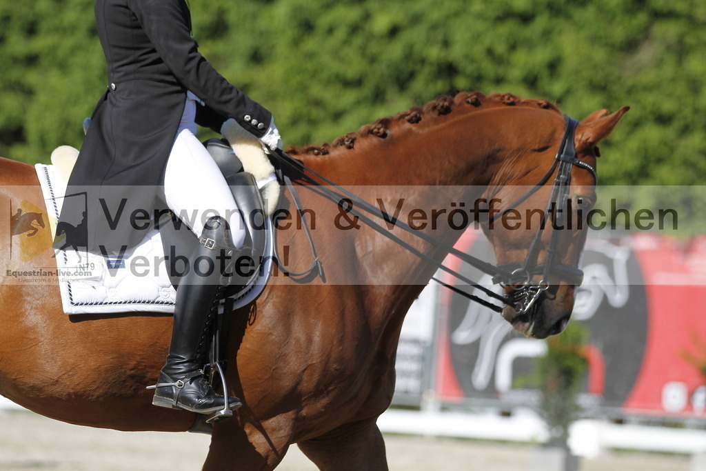 _MG_3098 | equestrian-live-com