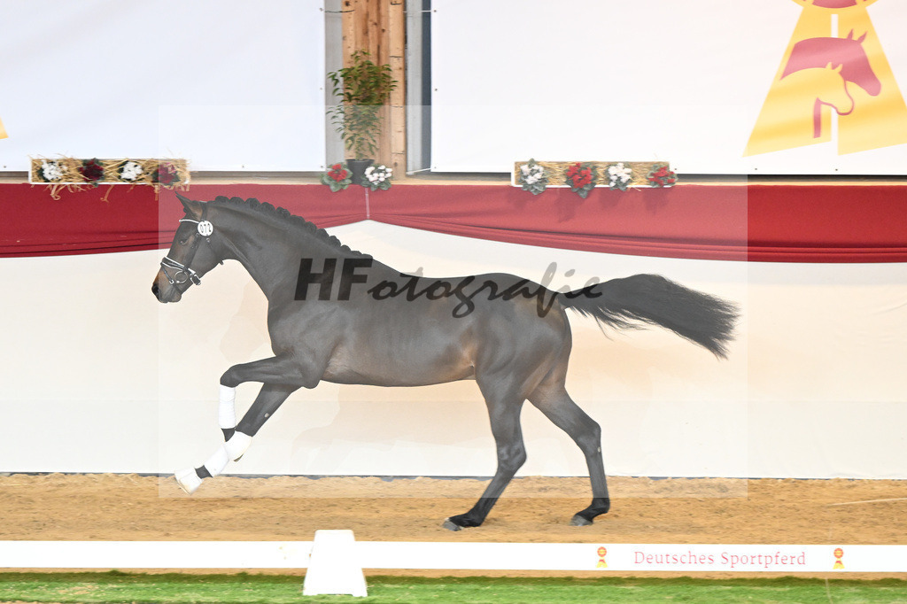 Kat-Nr. 72 Vaderland_Durrer_1230529 | hf-fotografie - Realisiert mit Pictrs.com