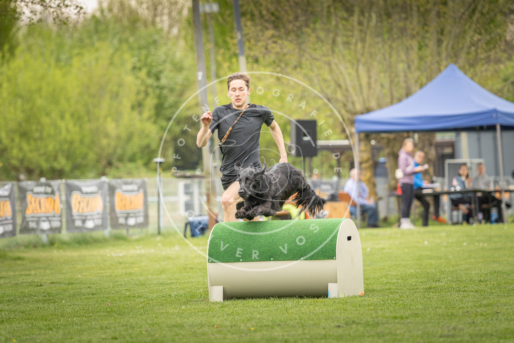 Pfotenfotografie_DV3A1239 | Hundefotografie, Tierfotograf, Pfotenfotografie, Fotoshooting Hund, Hunde Portrait, Hundesport, Hundeportraits, Heideshooting, Hunde, Sportfotograf, Hundefotograf, Turnierhundsport, THS,  - Realisiert mit Pictrs.com