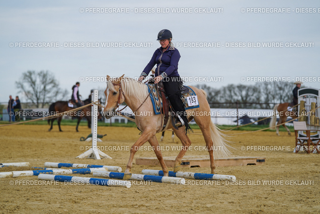 DSC05144 | Pferdegrafie