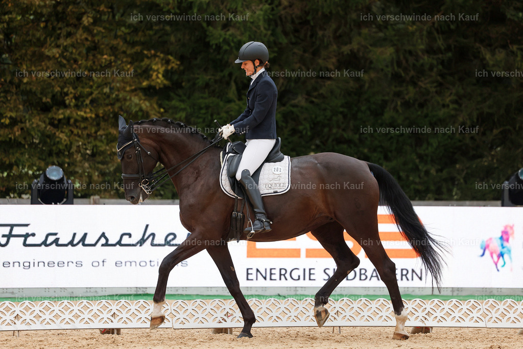 04_2-202-Dressur M__ -StoibPH-2933 | working equitationturnier fotograf videograf stoibphotography marixx film working equitation deutschland reitsport turnierfotografie eventfotografie equestrian events