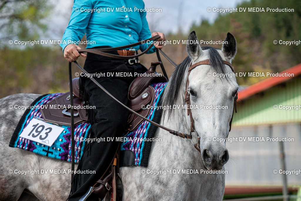 BAL02751 | dv-media-shop - Realisiert mit Pictrs.com