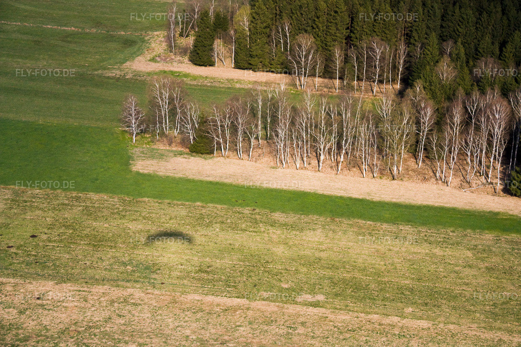Luftbild: Birken im Frühjahr in Raisting im Bundesland Bayern in Deutschland. Foto: IMG_17849.jpg vom 15.04.2009 durch Werner Riehm/FLY-FOTO.de