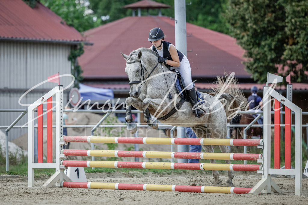 20250906-_3LI6455 | Tierfotografie Pferde, Hunde, Katzen, Haustiere.
Turnierfotografie Reitturniere, Reiten, Springreiten, Dressur in Hanau, dem Main-Kinzig-Kreis und dem Rhein-Main- Gebiet um Frankfurt