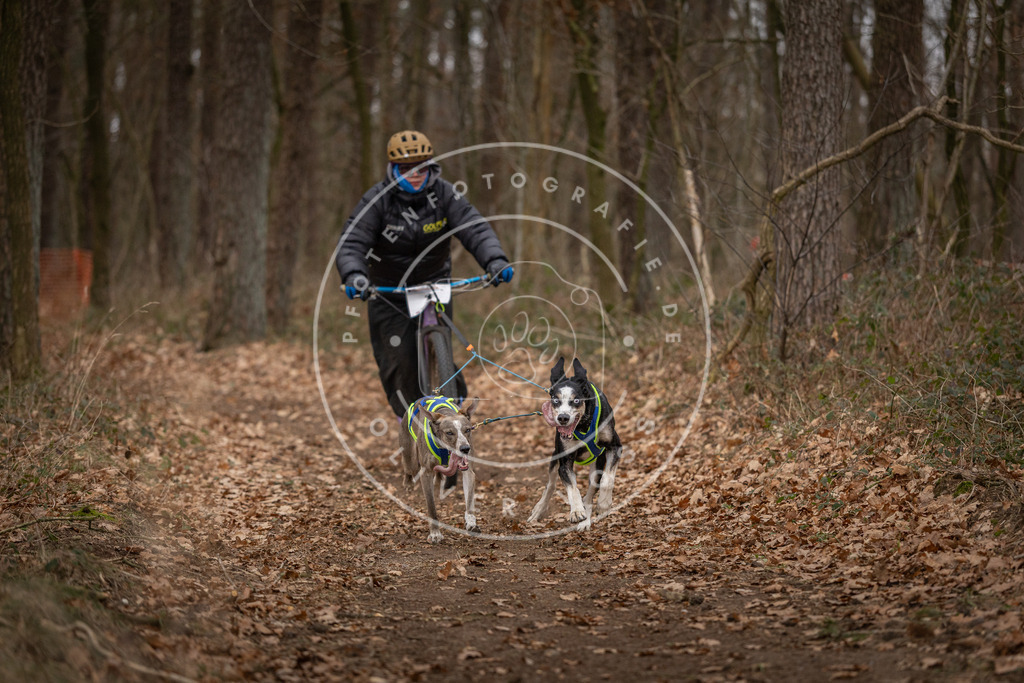 Pfotenfotografie_DV3A6680 | Hundefotografie, Tierfotograf, Pfotenfotografie, Fotoshooting Hund, Hunde Portrait, Hundesport, Hundeportraits, Heideshooting, Hunde, Sportfotograf, Hundefotograf, Turnierhundsport, THS,  - Realisiert mit Pictrs.com
