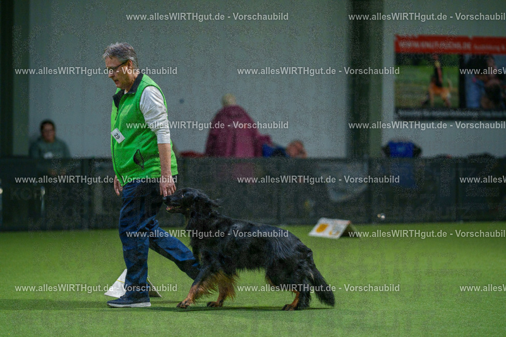 7R505362 | Professionelle Tierfotografie in Mönchengladbach von Daniel Wirth (allesWIRTHgut). Liebevolle & natürliche Bilder von Hunden & Katzen für unvergessliche Erinnerungen.