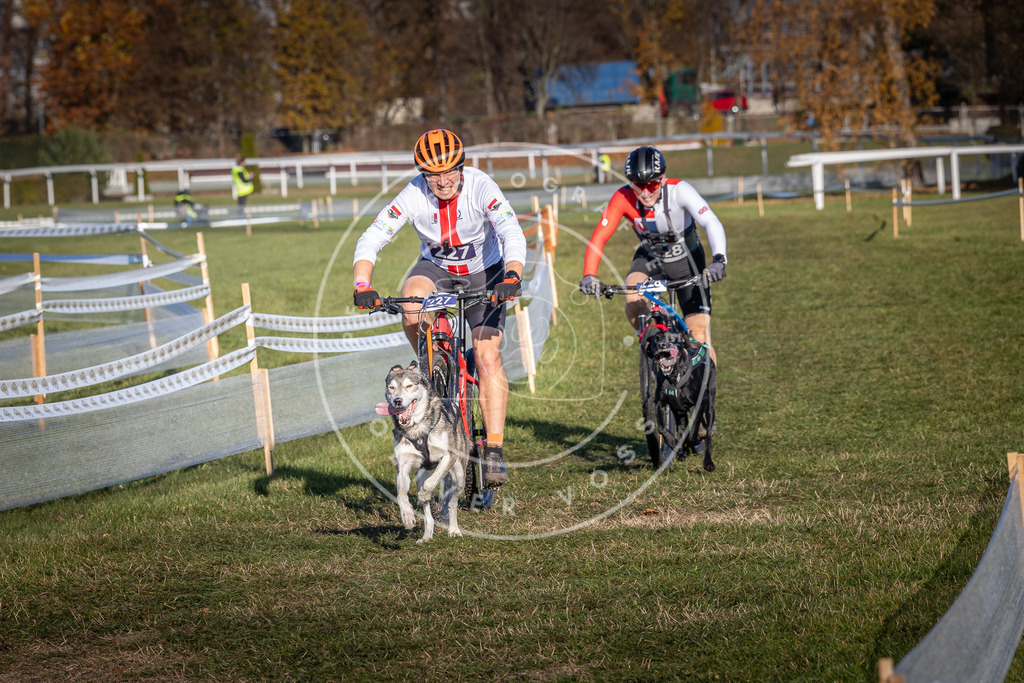 CaniXpix_0L8A4682 | Hundefotografie, Tierfotograf, Pfotenfotografie, Fotoshooting Hund, Hunde Portrait, Hundesport, Hundeportraits, Heideshooting, Hunde, Sportfotograf, Hundefotograf, Turnierhundsport, THS,  - Realisiert mit Pictrs.com