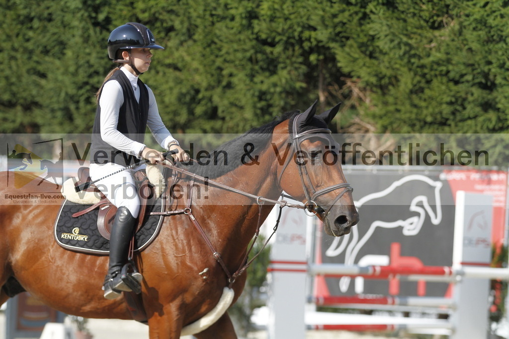 _MG_6527 | equestrian-live-com