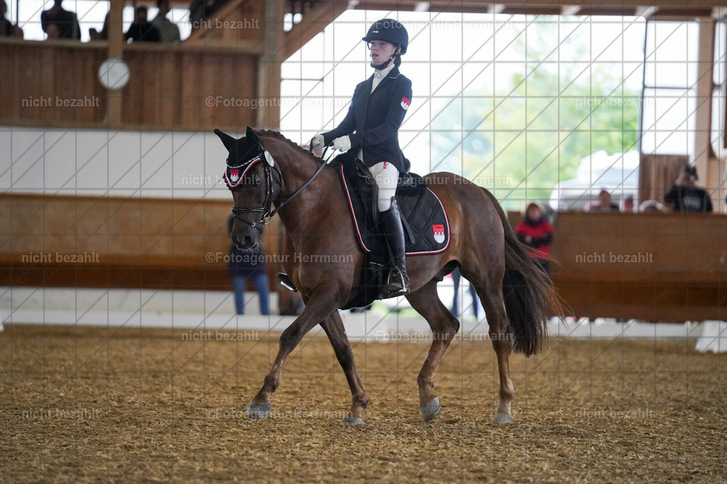 20240825-FAH09076 | Turnierbilder, Reitsportfotos, LAPO, Landesponyturnier, Turnierfotografen Bayern