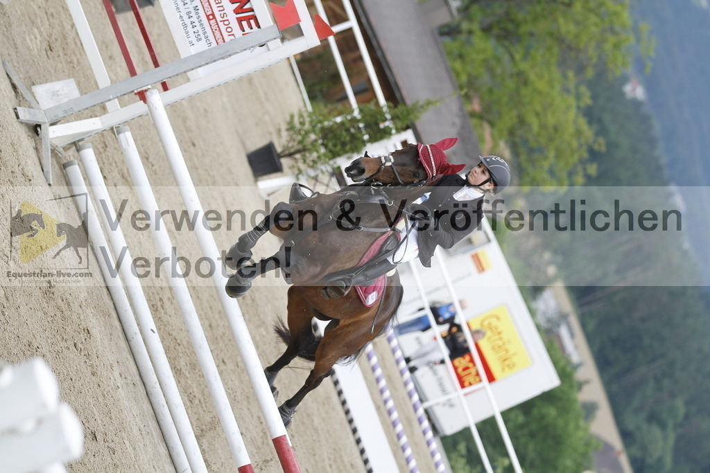 _MG_0987 | equestrian-live-com